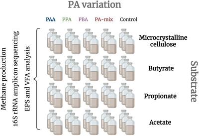 Effects of phenyl acids on different degradation phases during thermophilic anaerobic digestion